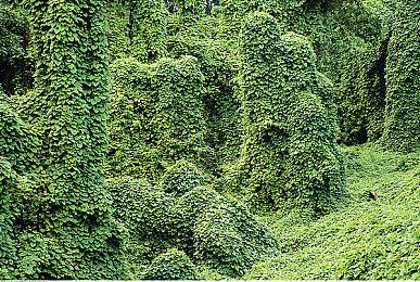 索尼坚称将继续扩展PS Portal设备的各项功能