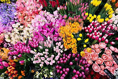 第三方厂商加速研发磁吸摇杆 欲根治Switch2摇杆漂移顽疾